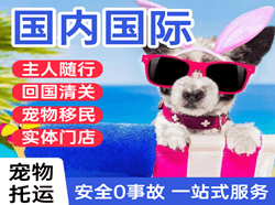 邯郸机场快运国际宠物托运 【国
